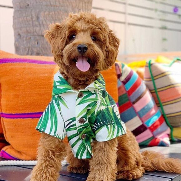 🎉Doggy Vaca T-Shirt🎉 - Picture 1 of 1